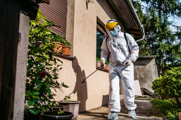 Best Wildlife Control Services  in Young Harris, GA