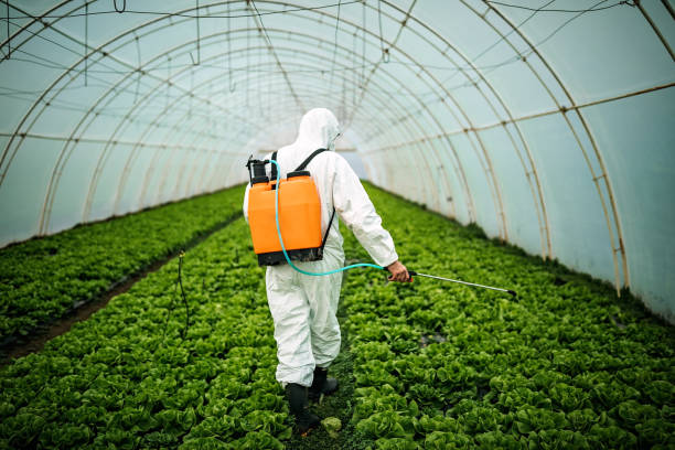Pest Control for Restaurants in Young Harris, GA