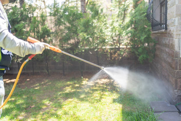 Best Rat Extermination Near Me  in Young Harris, GA