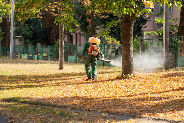 Best Pest Control for Businesses  in Young Harris, GA