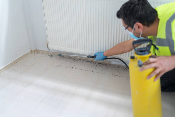 Best Best Pest Control Companies  in Young Harris, GA